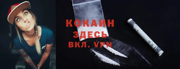 крисы Верхний Тагил