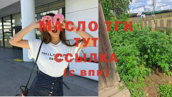 крисы Верхний Тагил