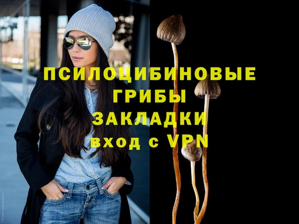 крисы Верхний Тагил