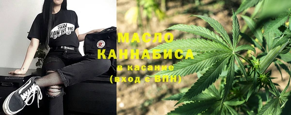 крисы Верхний Тагил