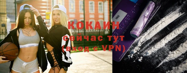 крисы Верхний Тагил