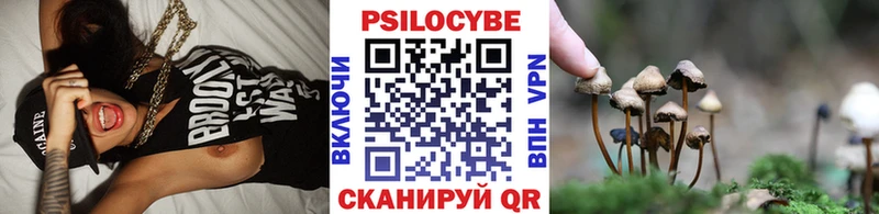 Псилоцибиновые грибы Psilocybe Знаменск