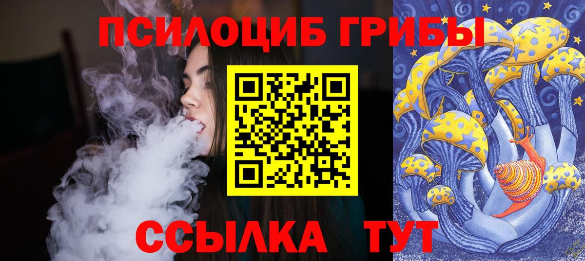 Знаменск  Псилоцибиновые грибы прущие грибы  Вход с VPN  Галлюциногенные грибы Psilocybe 