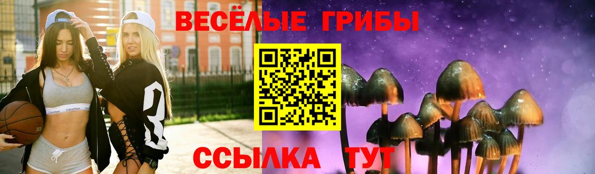 Галлюциногенные грибы GOLDEN TEACHER  Знаменск  Псилоцибиновые грибы мицелий 