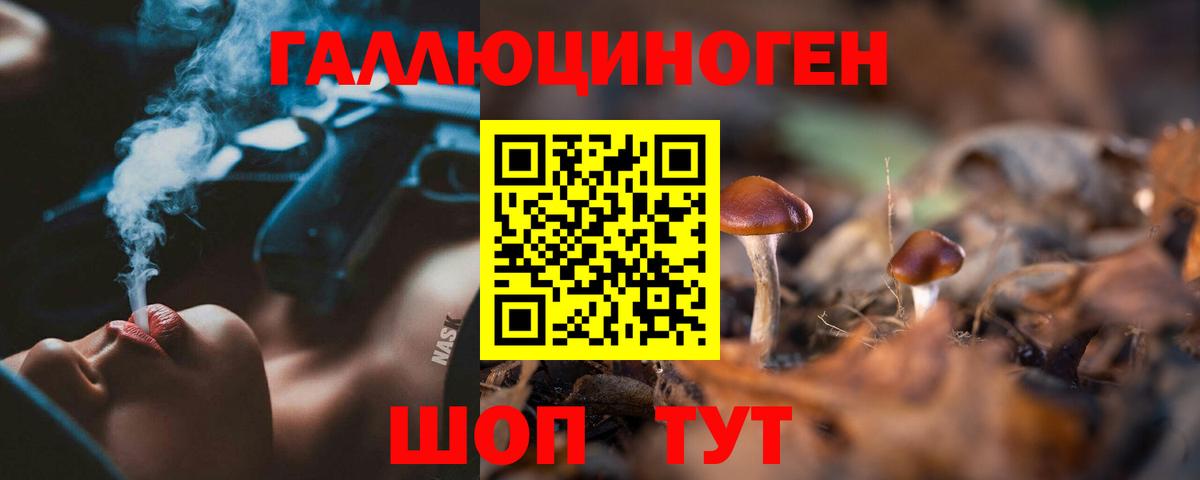 Галлюциногенные грибы GOLDEN TEACHER Знаменск